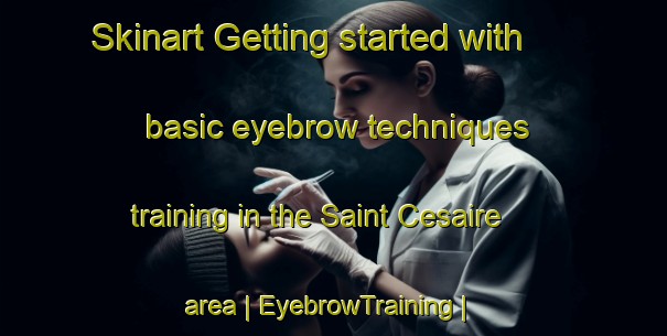 Skinart Getting started with basic eyebrow techniques training in the Saint Cesaire area | EyebrowTraining | EyebrowClasses | SkinartTraining-France